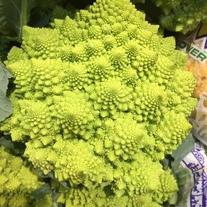 Meet your Posher, Angelina